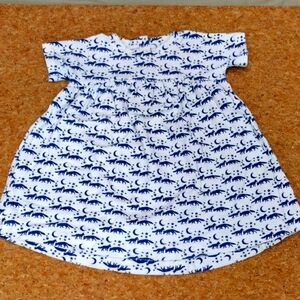 Kate Quinn Coyote Moons Dress